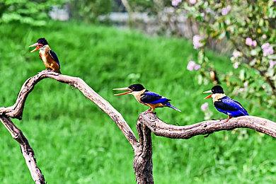 调查显示82%的美国玩家去年使用过游戏内购